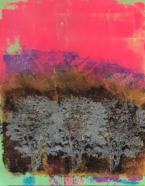 Jackie Newell RE, Evening View From Madeira Walk