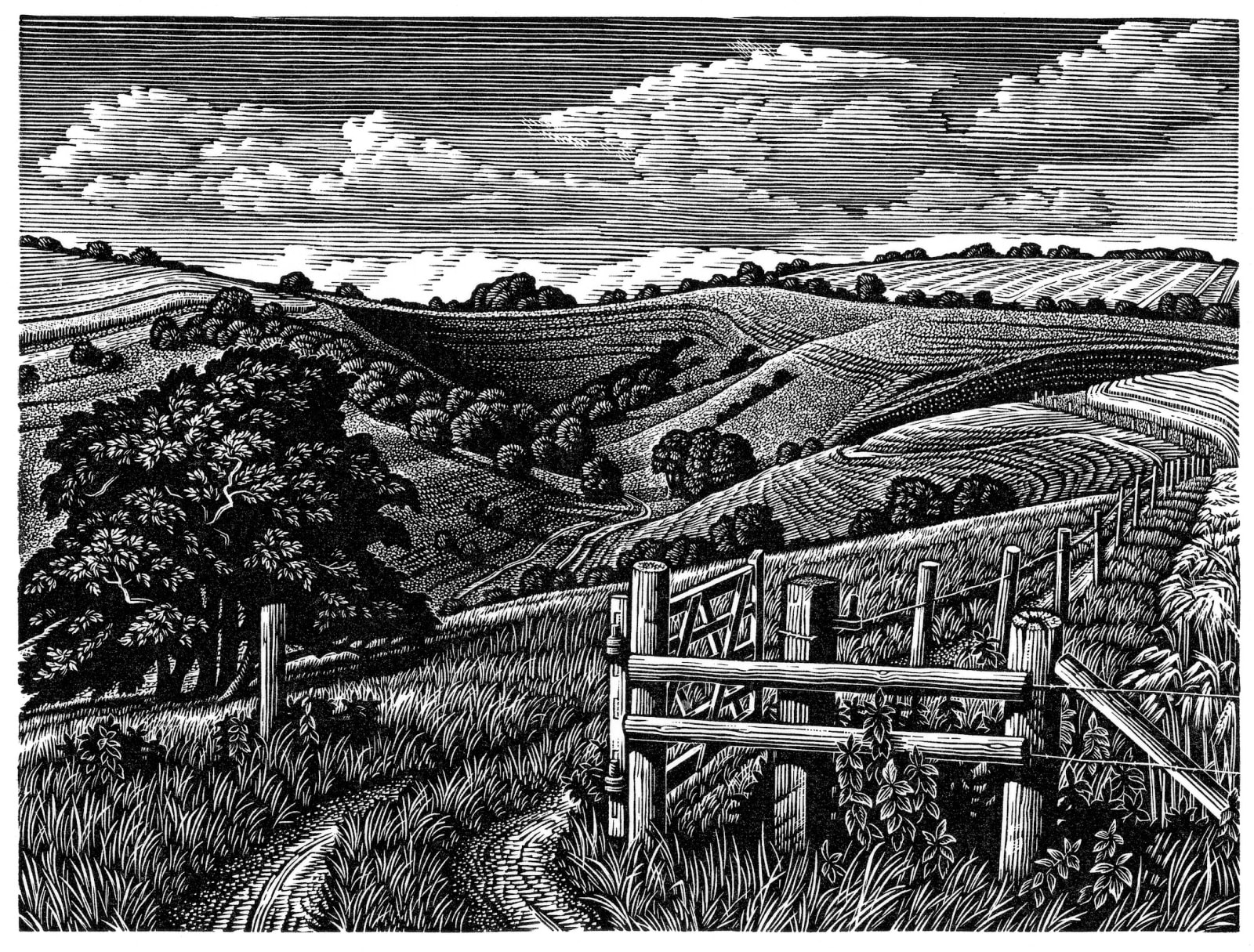 Howard Phipps ARE, Malacombe Bottom