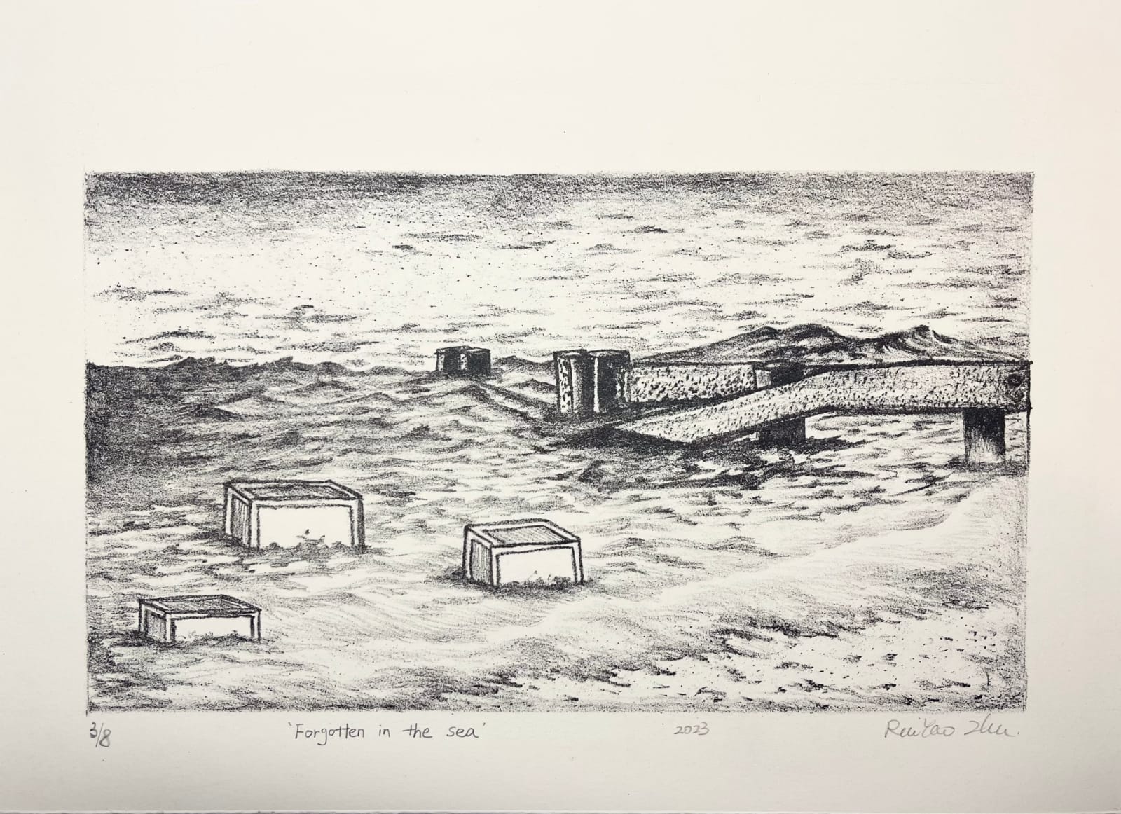 Ruiyao Zhu Student RE, Forgotten in the Sea