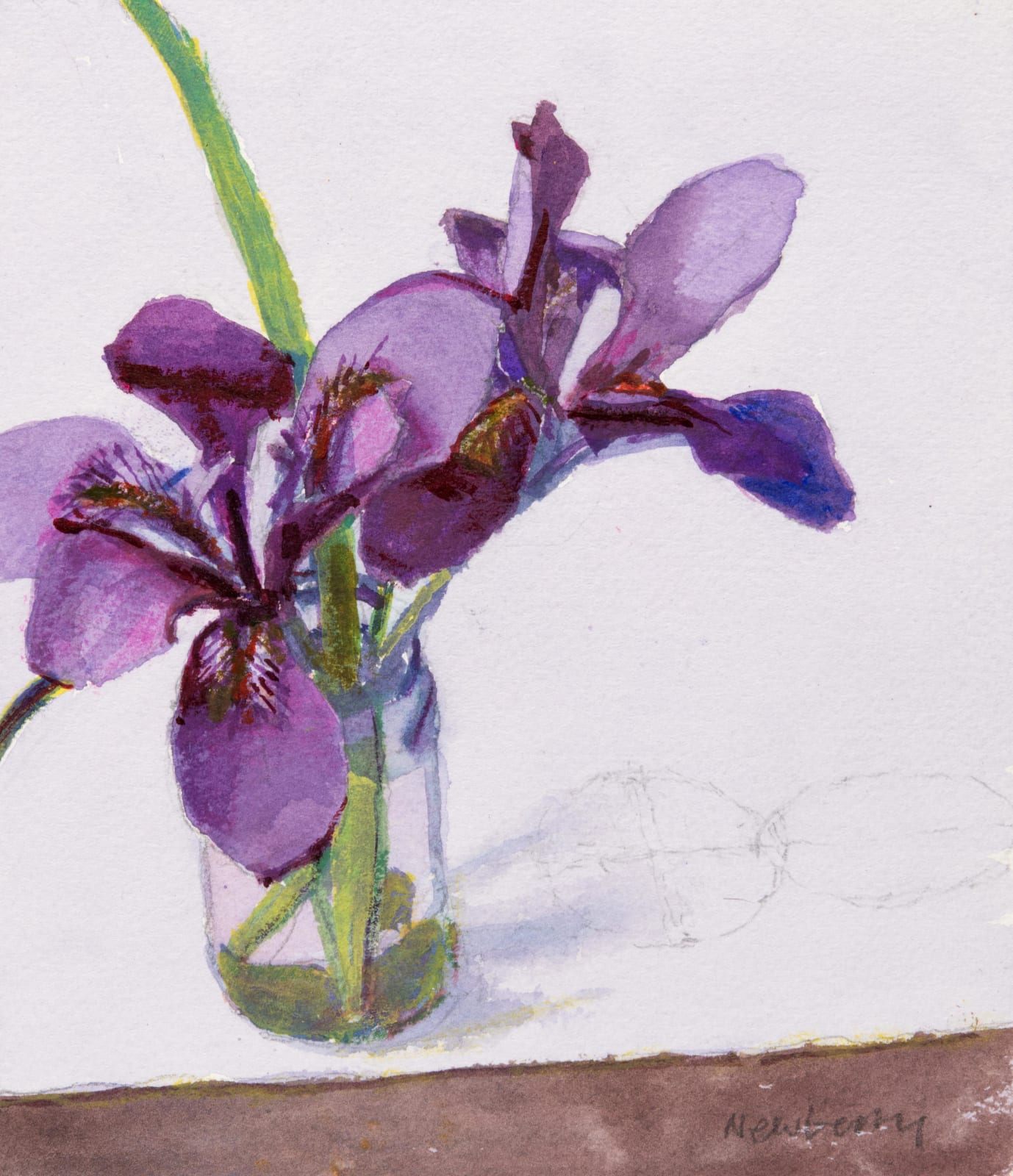 John Newberry RWS, Iris Stylosus