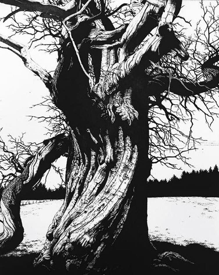 Blaze Cyan RE, Croft Castle VI