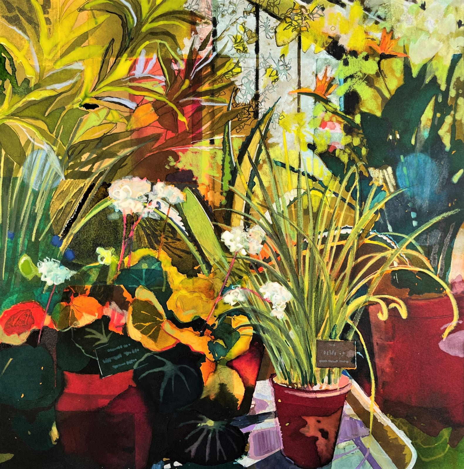 Claire Denny RWS, Strelitzia in the Tropical Greenhouse