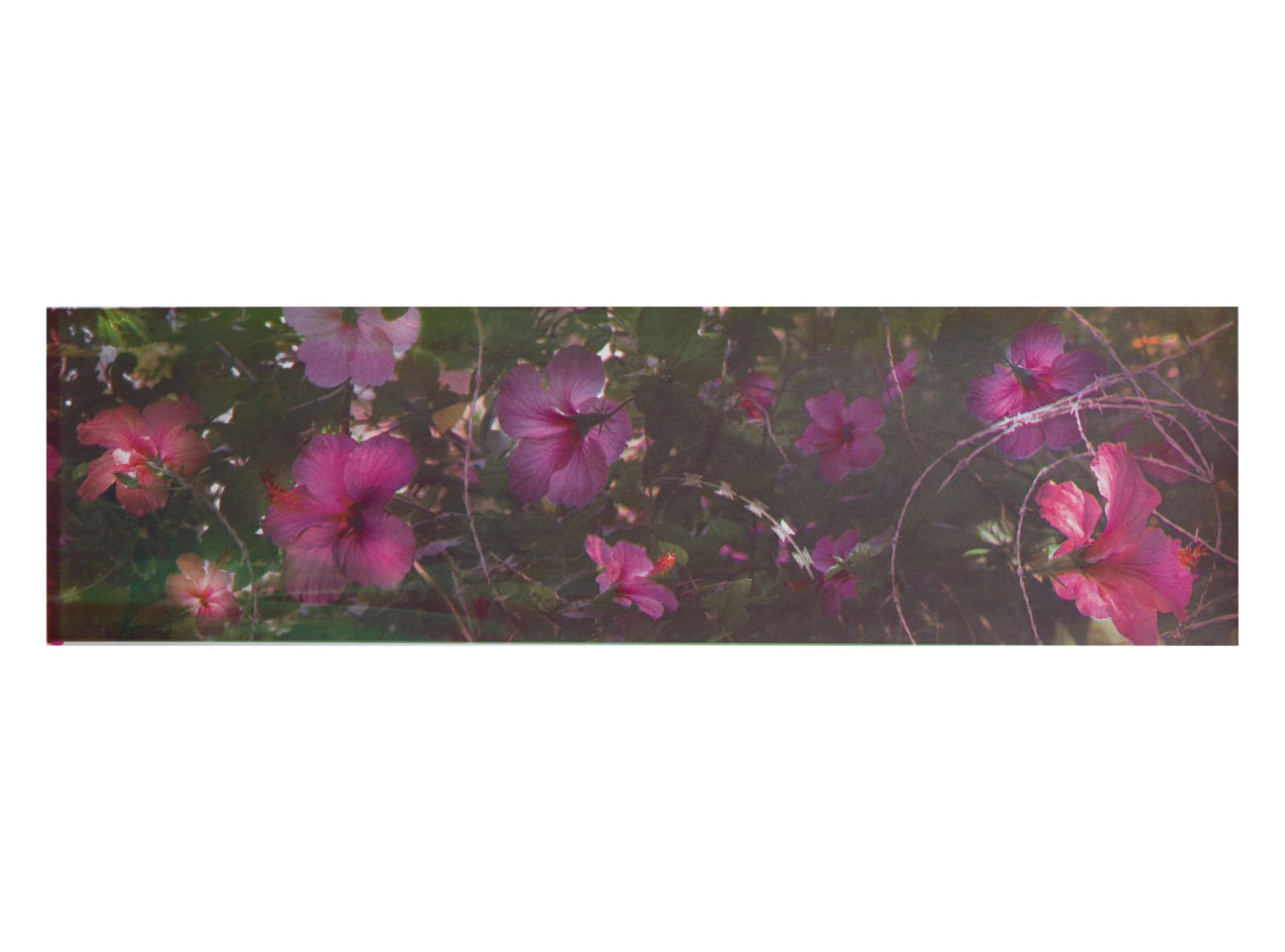 Constanza Pulit Student RE, Lost but Found , 2024