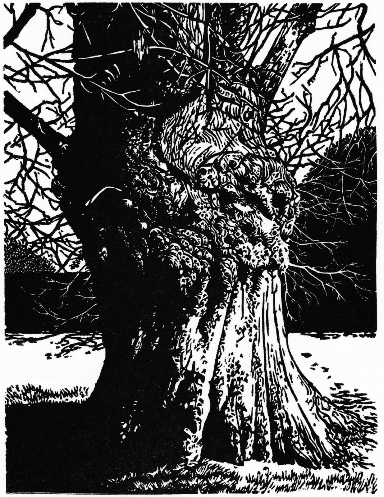 Blaze Cyan RE, Greenwich Chestnut