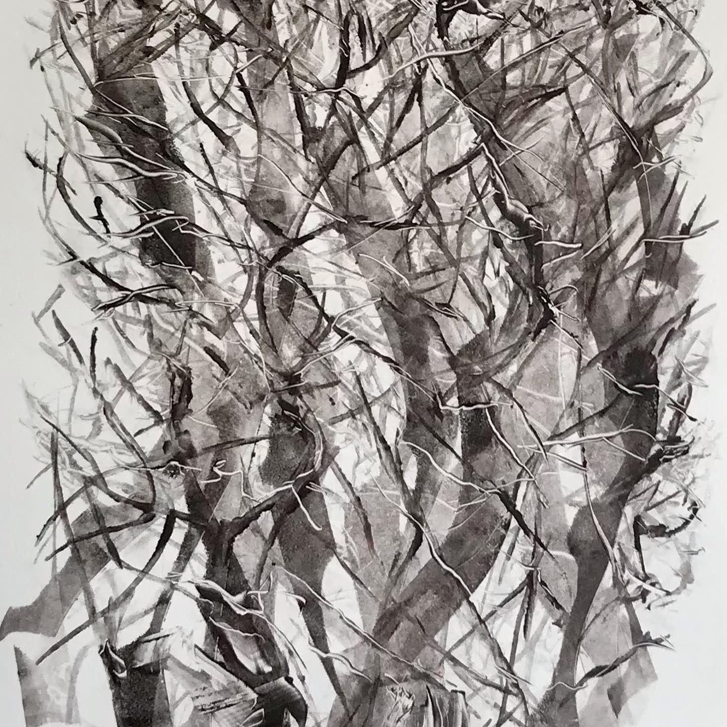Jackie Newell RE, Winter Trees 1