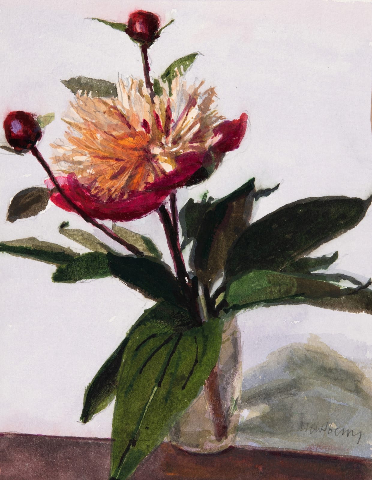 John Newberry RWS, Single Peony