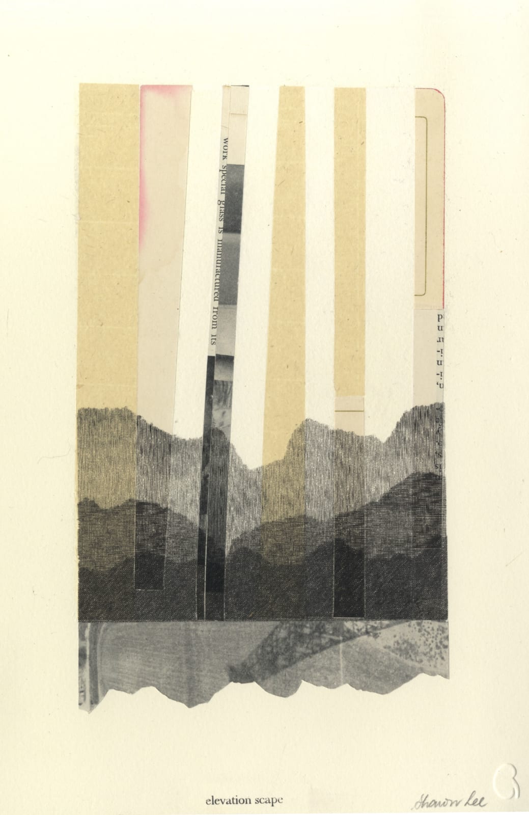 Sharon Lee RE, Elevation-Scape 2