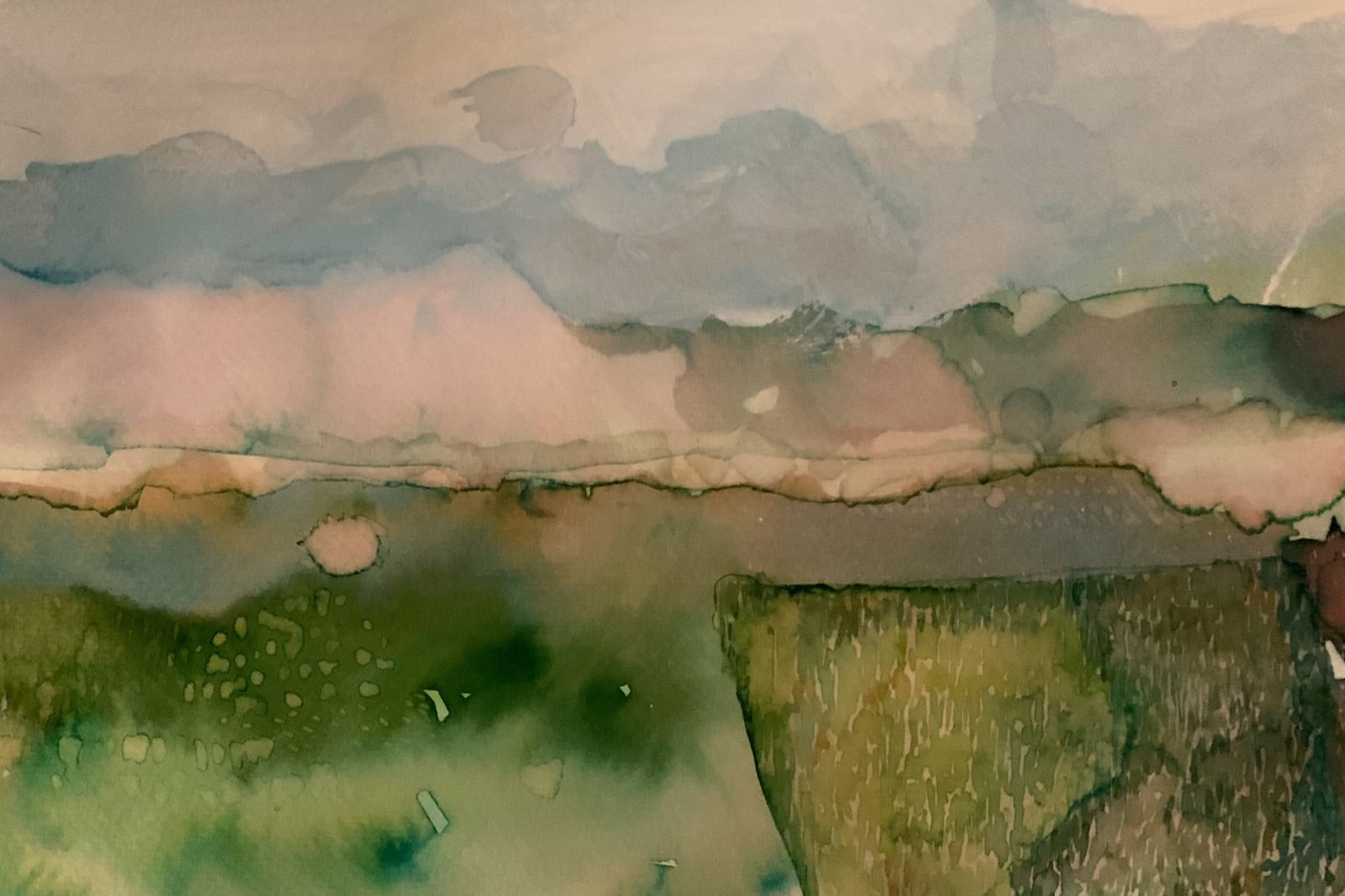 David Hamilton RWS, Vincent's Field