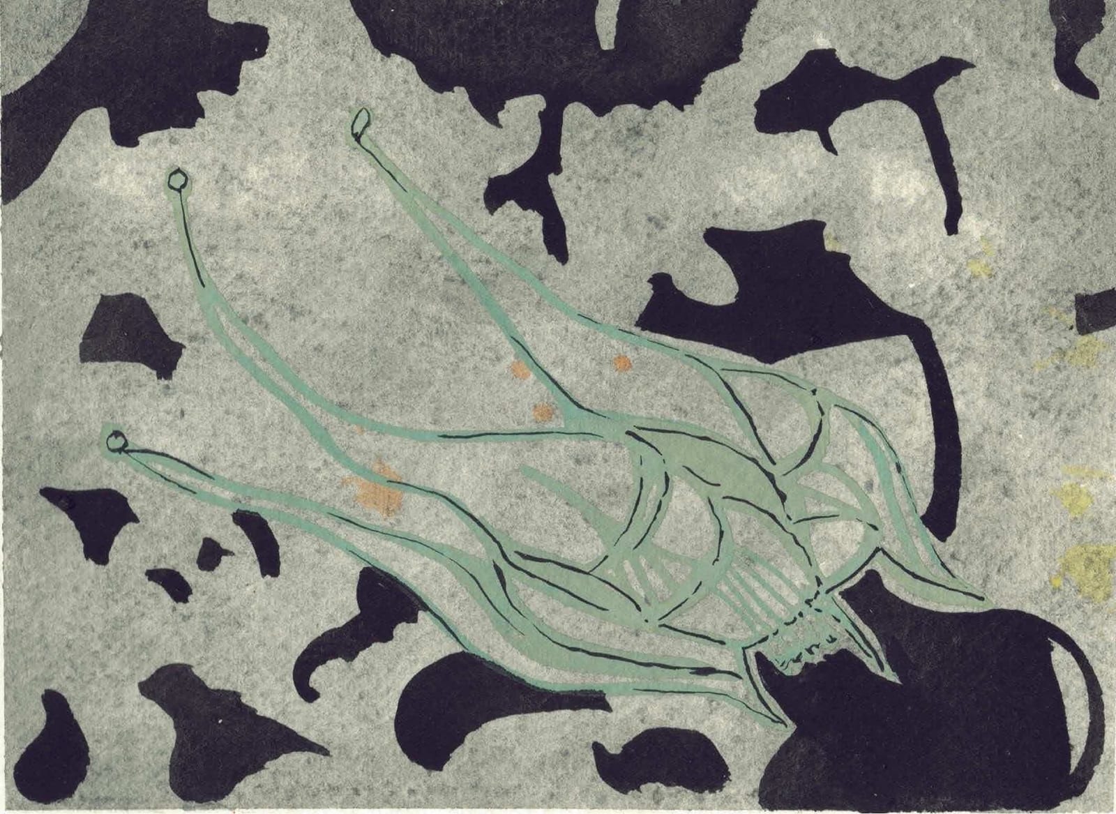 Chloe Fremantle RWS, Black & Grey Aquilegia, 35.25