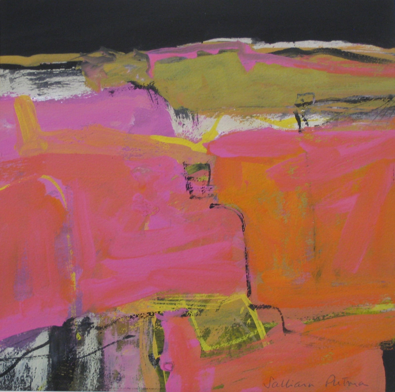 Salliann Putman RWS, Red Fields