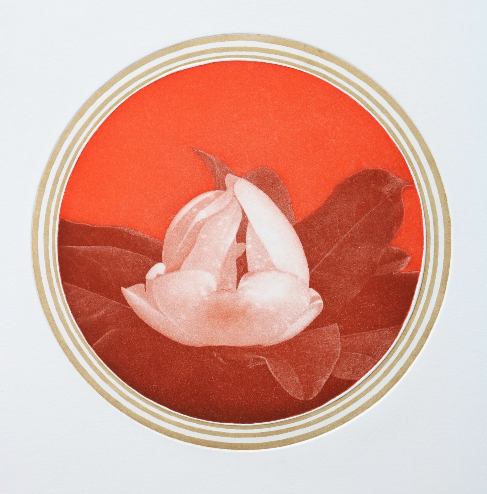 Emiko Aida RE, White Flower 4