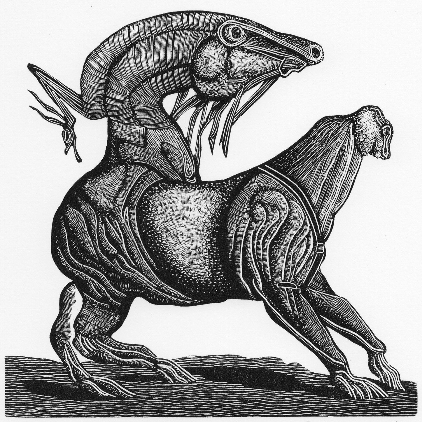 Leonie Bradley RE, Text Prompt: A General History of Quadrupeds II, 2023