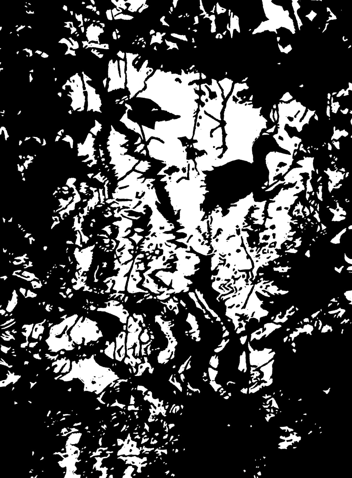 Blaze Cyan RE, Twilight lake