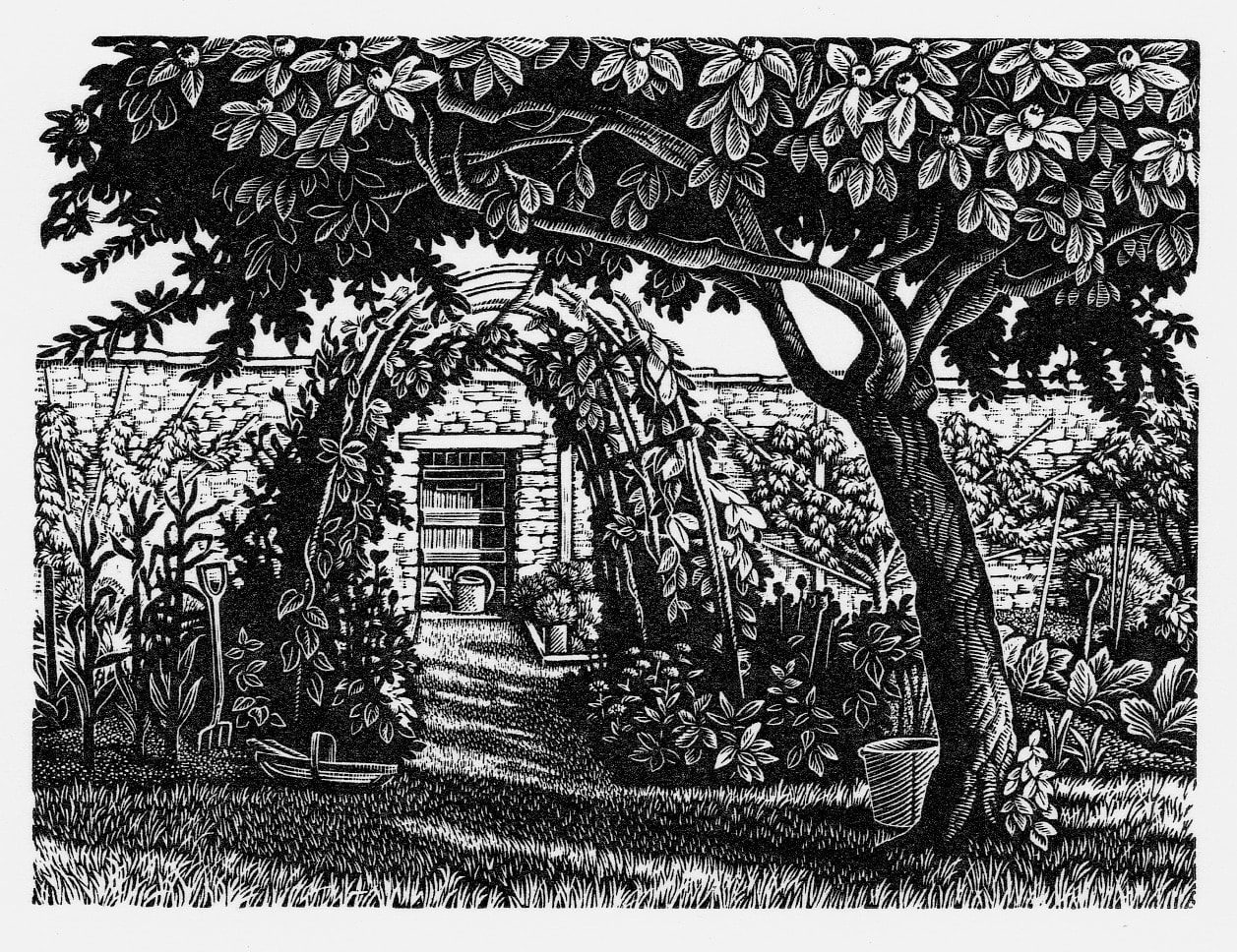 Howard Phipps ARE, The Medlar Tree