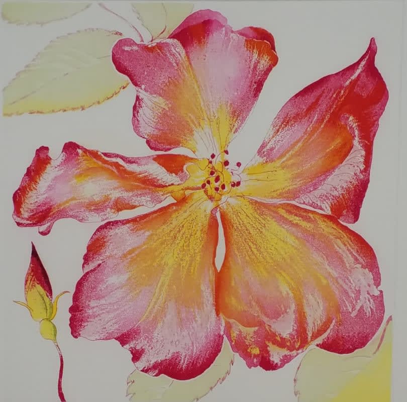 Grainne Cuffe ARE, All Summer Long