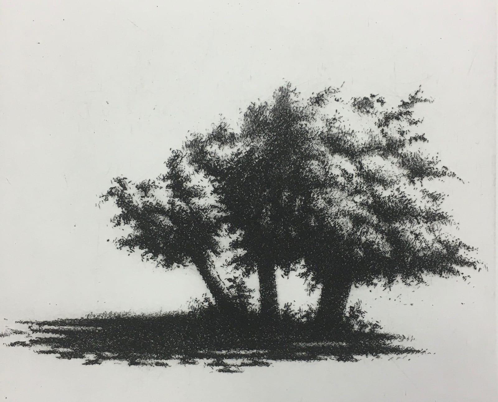 Ali Yanya ARE, Fig Trees