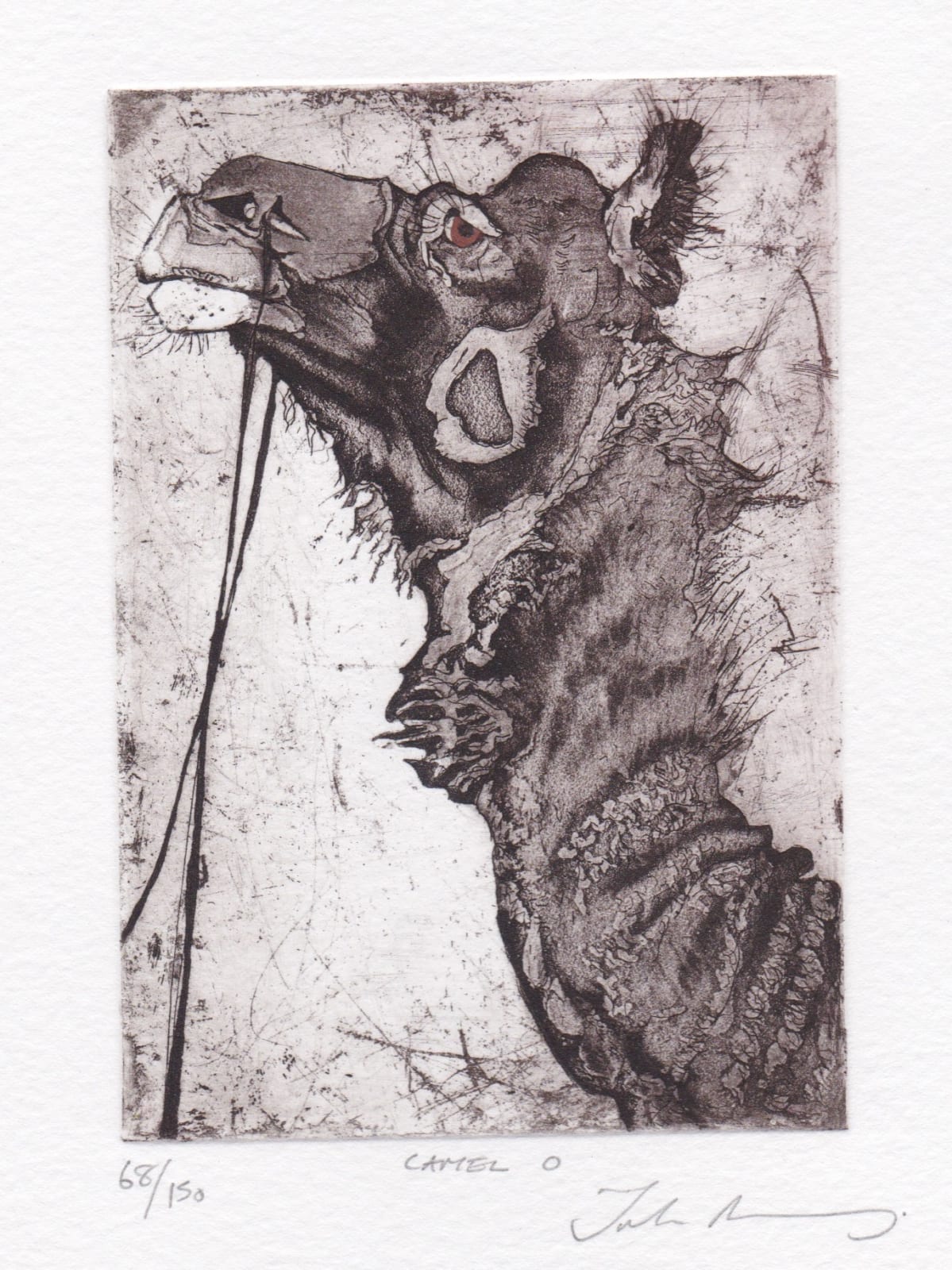 Julia Manning RE, Camel O