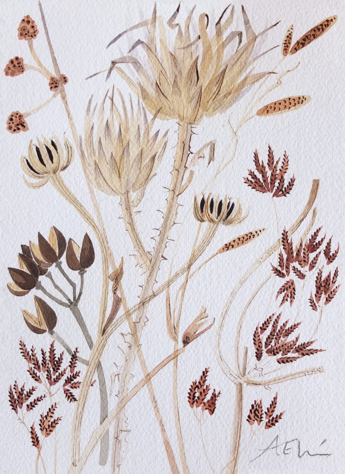 Angie Lewin RWS RE, Catalan Seedheads