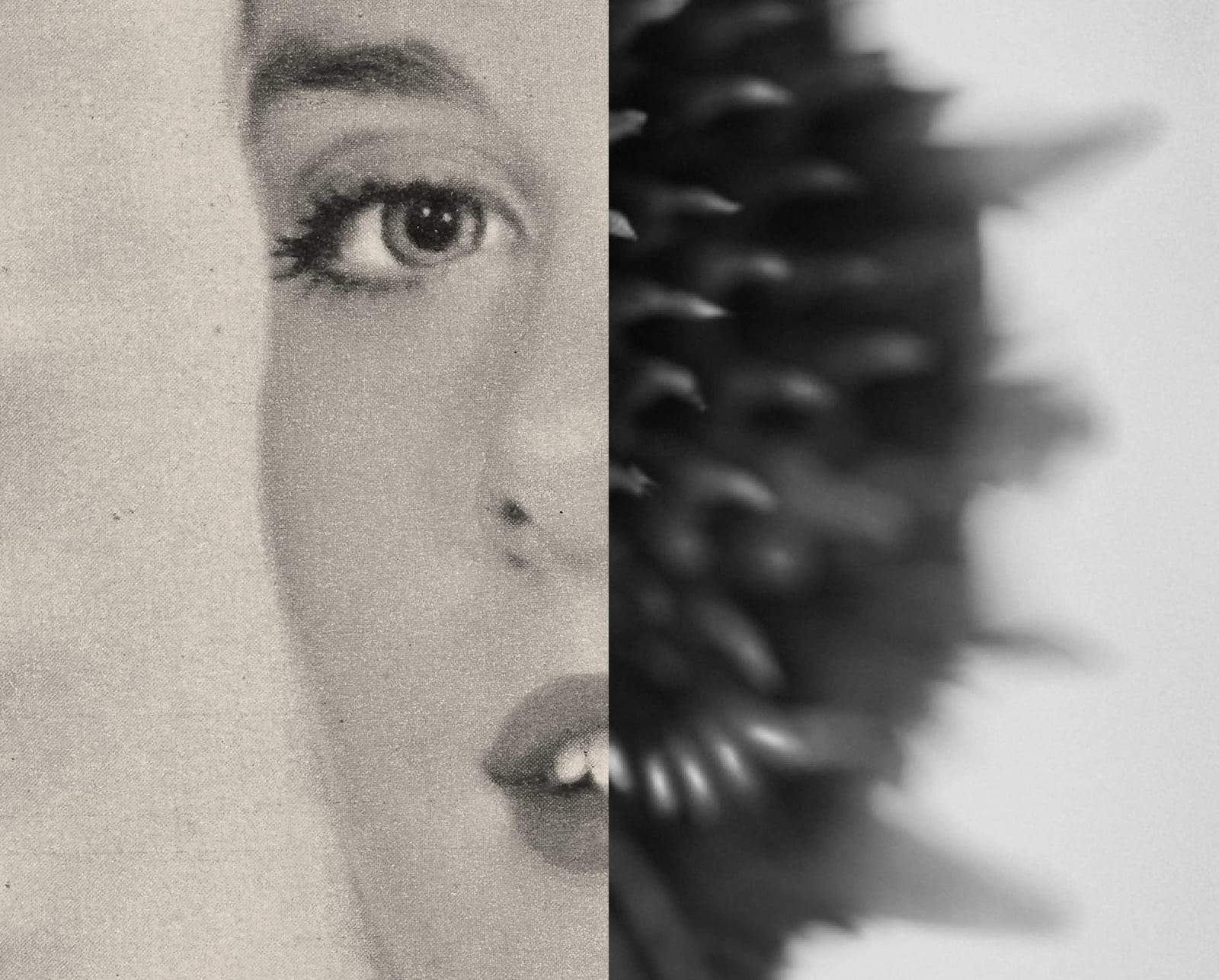 Gordon Ellis-Brown ARE, Human Nature (19)