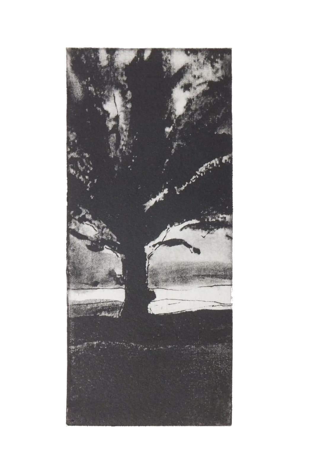 Martyn Brewster ARE, Winter Trees No.2