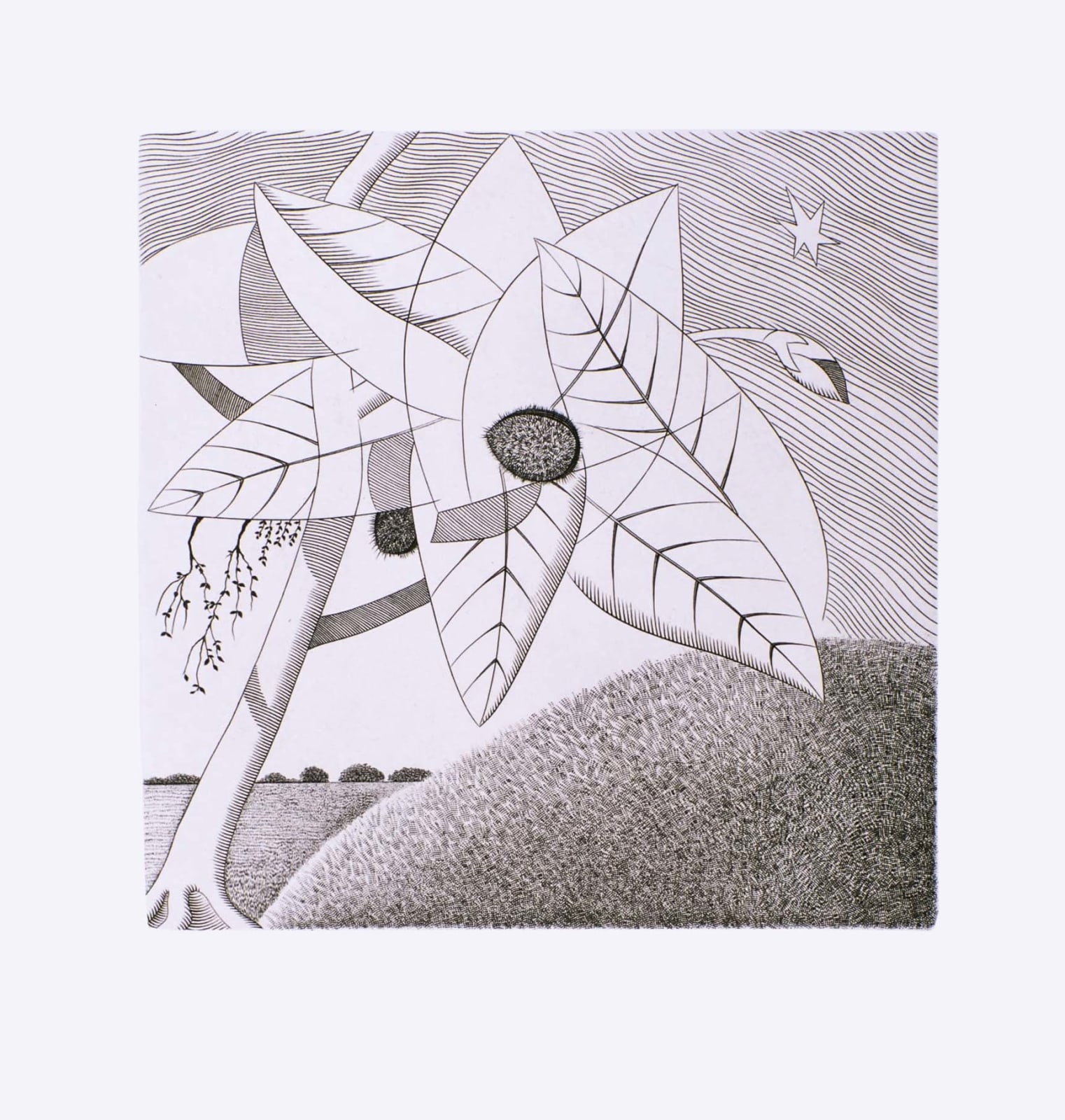 Brian Hanscomb RE, Beech Tree & Tumulus