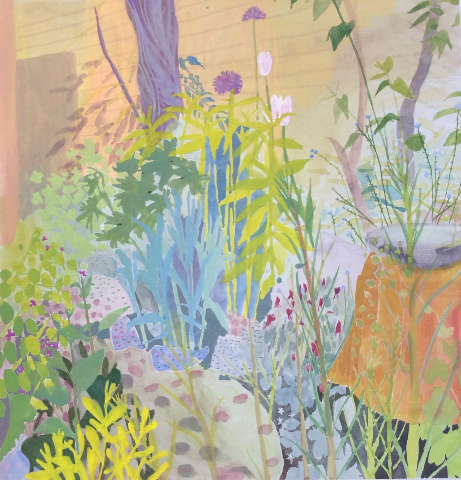 Suzy Fasht RWS, Garden Bed