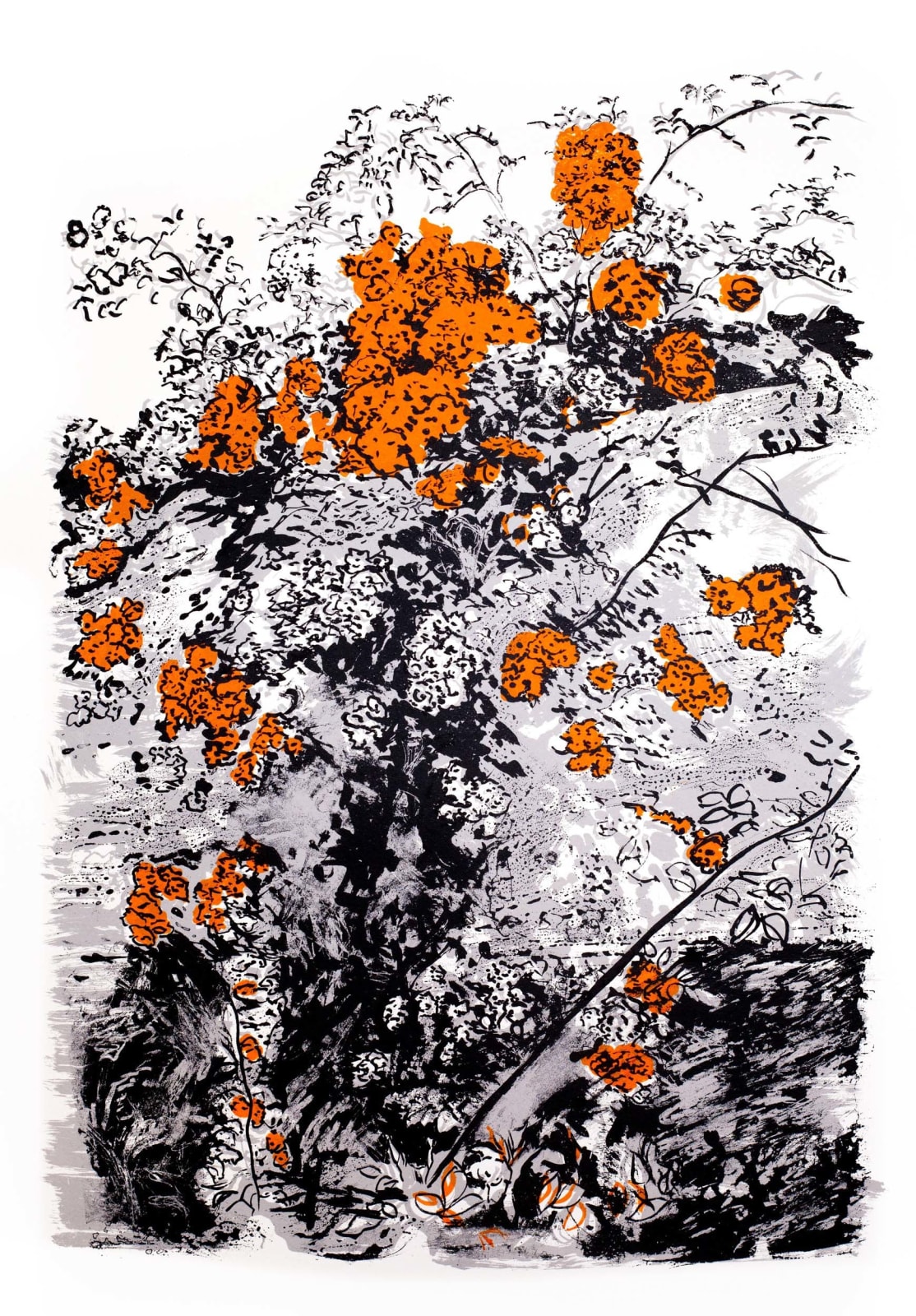 Denise Ballard-Wyllie ARE, Rambling Amber Rose