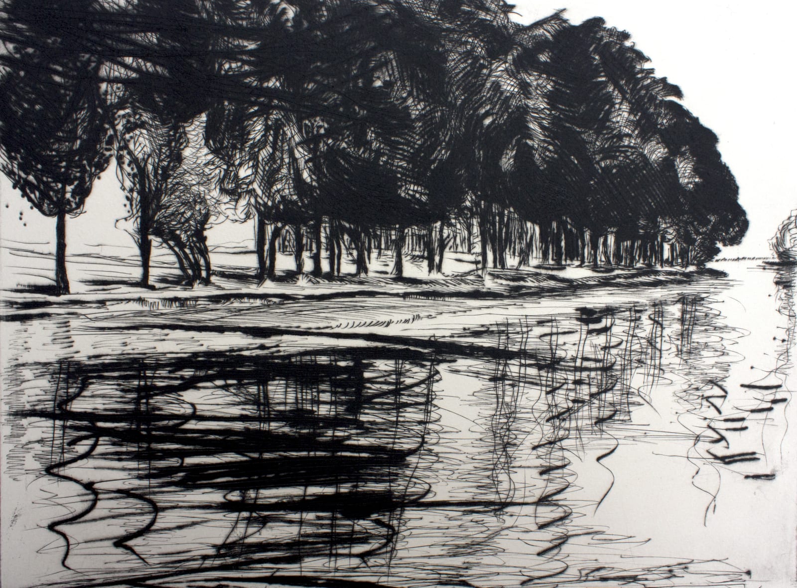 Edward Twohig RE, Swan Lake, Berkshire