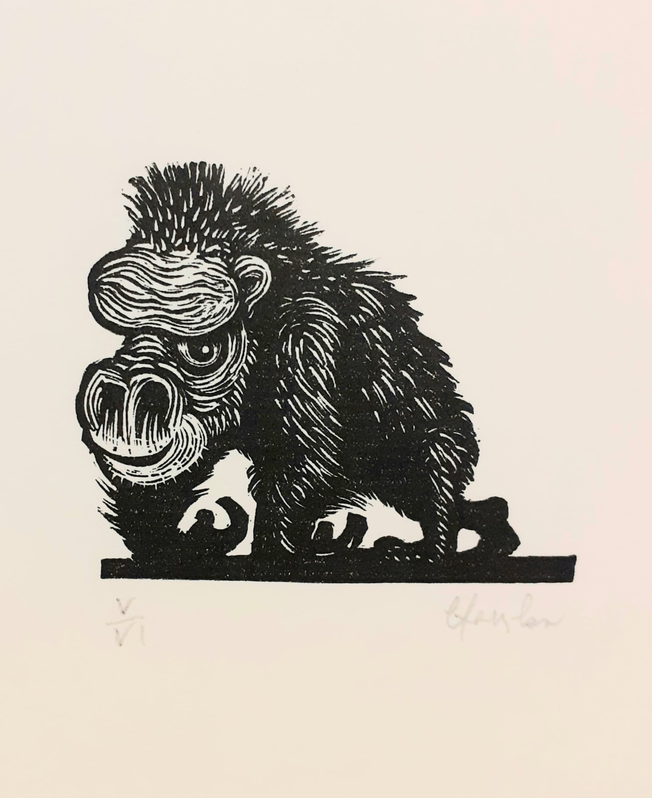 Brendan Hansbro ARE, Gorilla