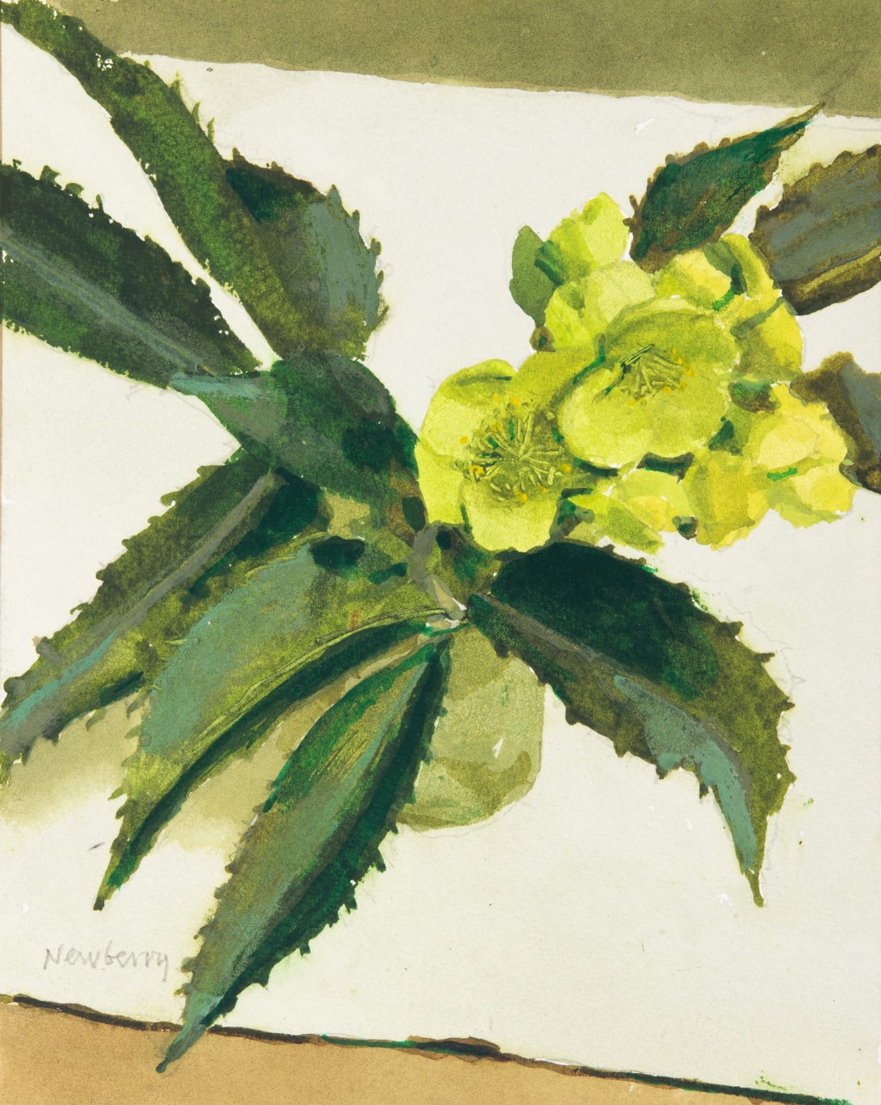 John Newberry RWS, Corsicus