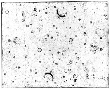 Ashleigh Thompson ARE, Untitled III