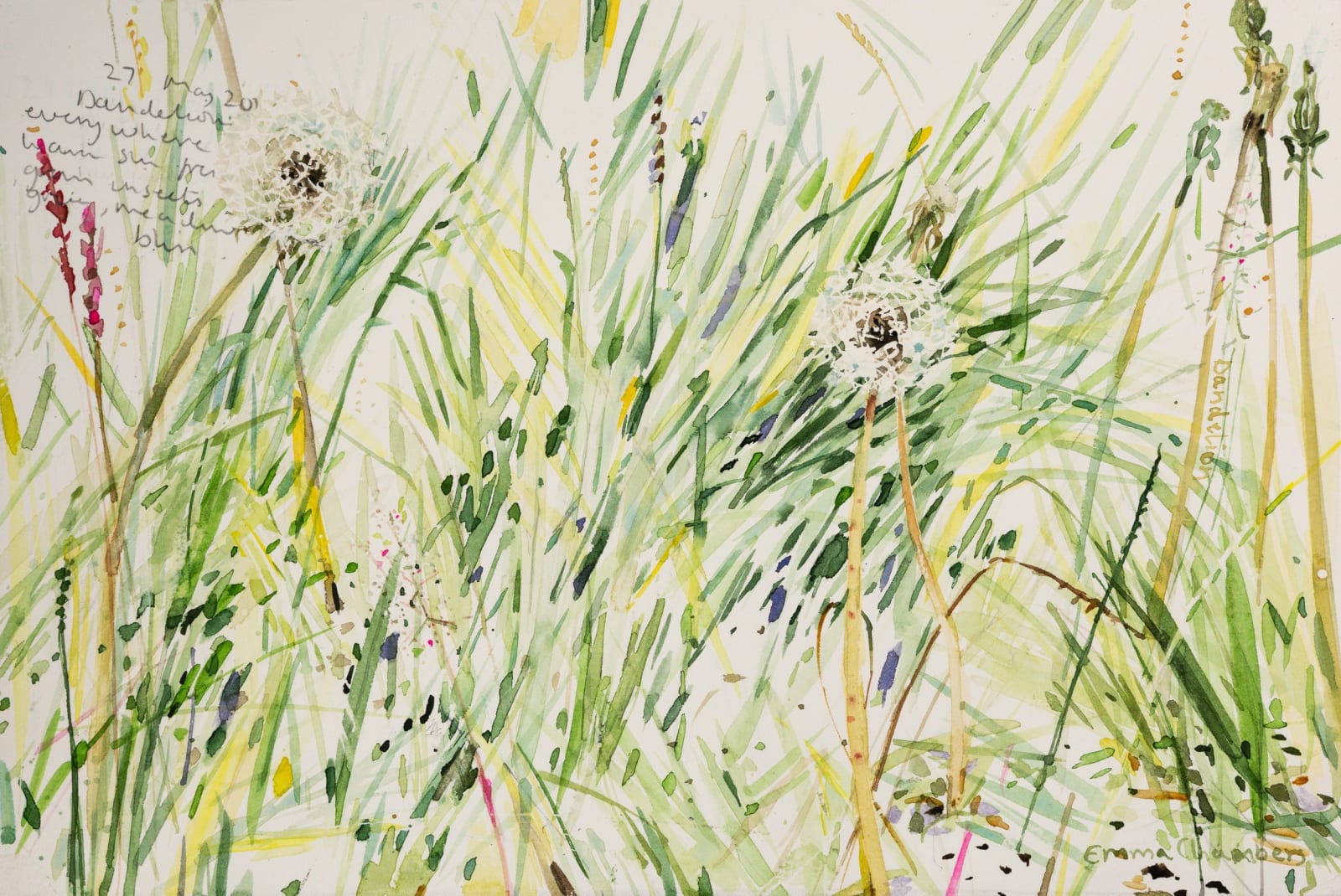 Emma Chambers RWS, Dandelions