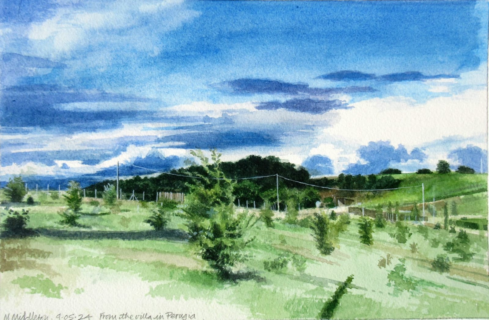 Michael Middleton RWS RE, From the Villa in Perugia