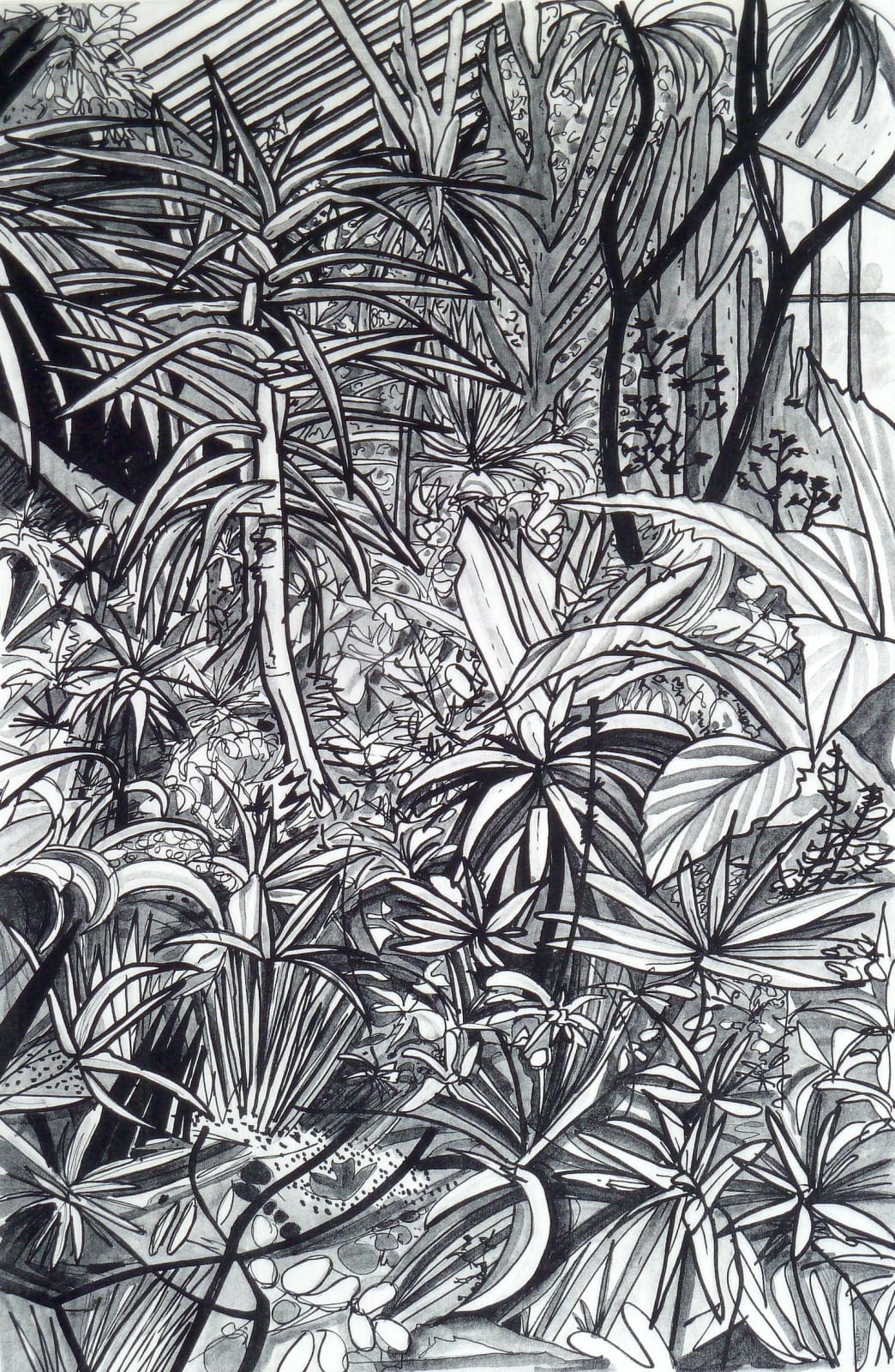 Meg Dutton RE, The Cactus House