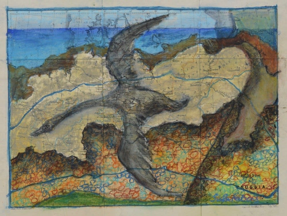 Sula Rubens RWS, Shore Flight