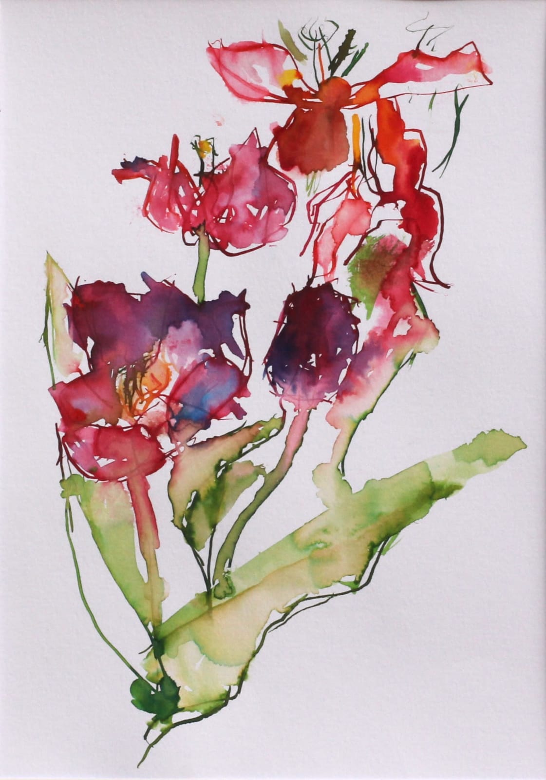 David Hamilton RWS, Spent Tulips