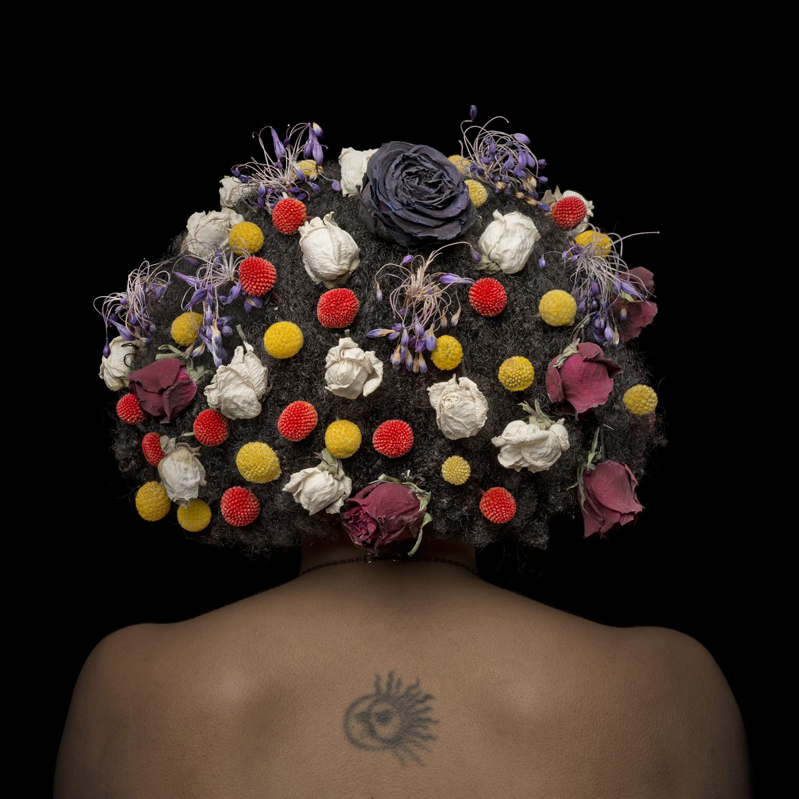 John Phillips, Vanitas XXV