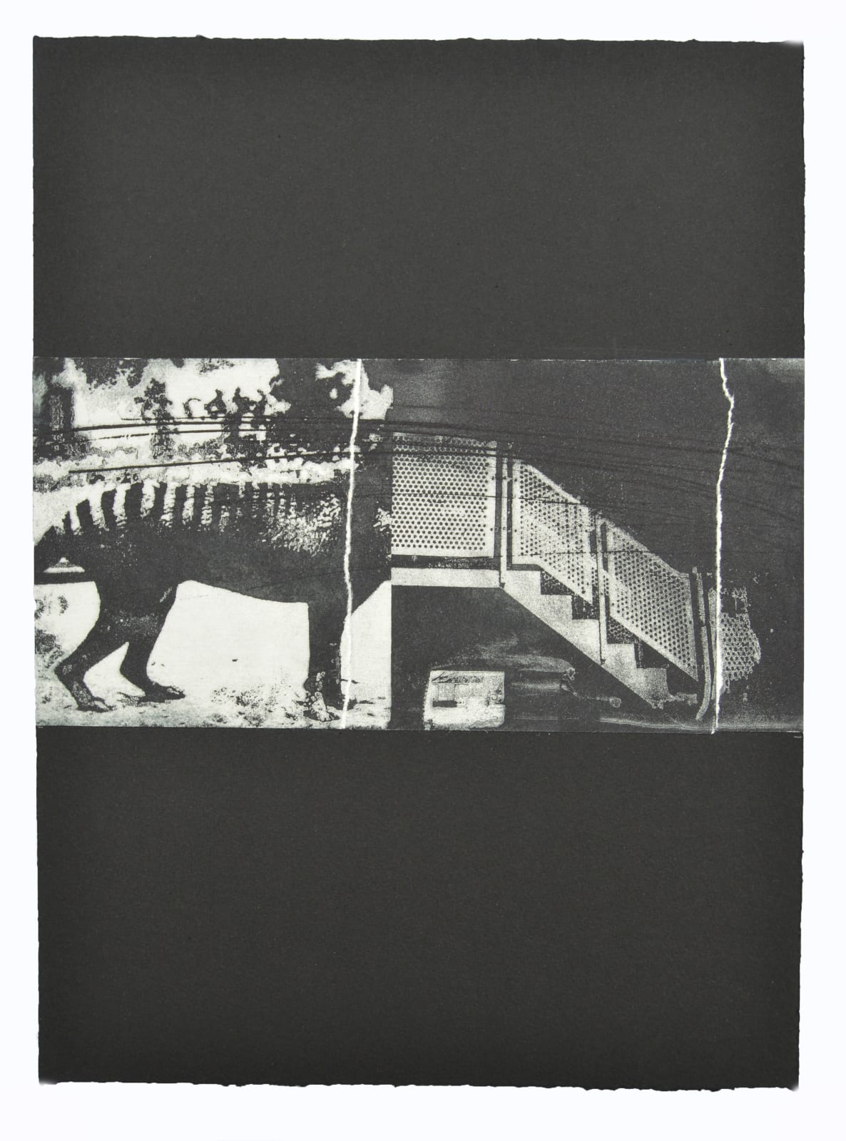 Ian Rawlinson ARE, Chimera (Collage)