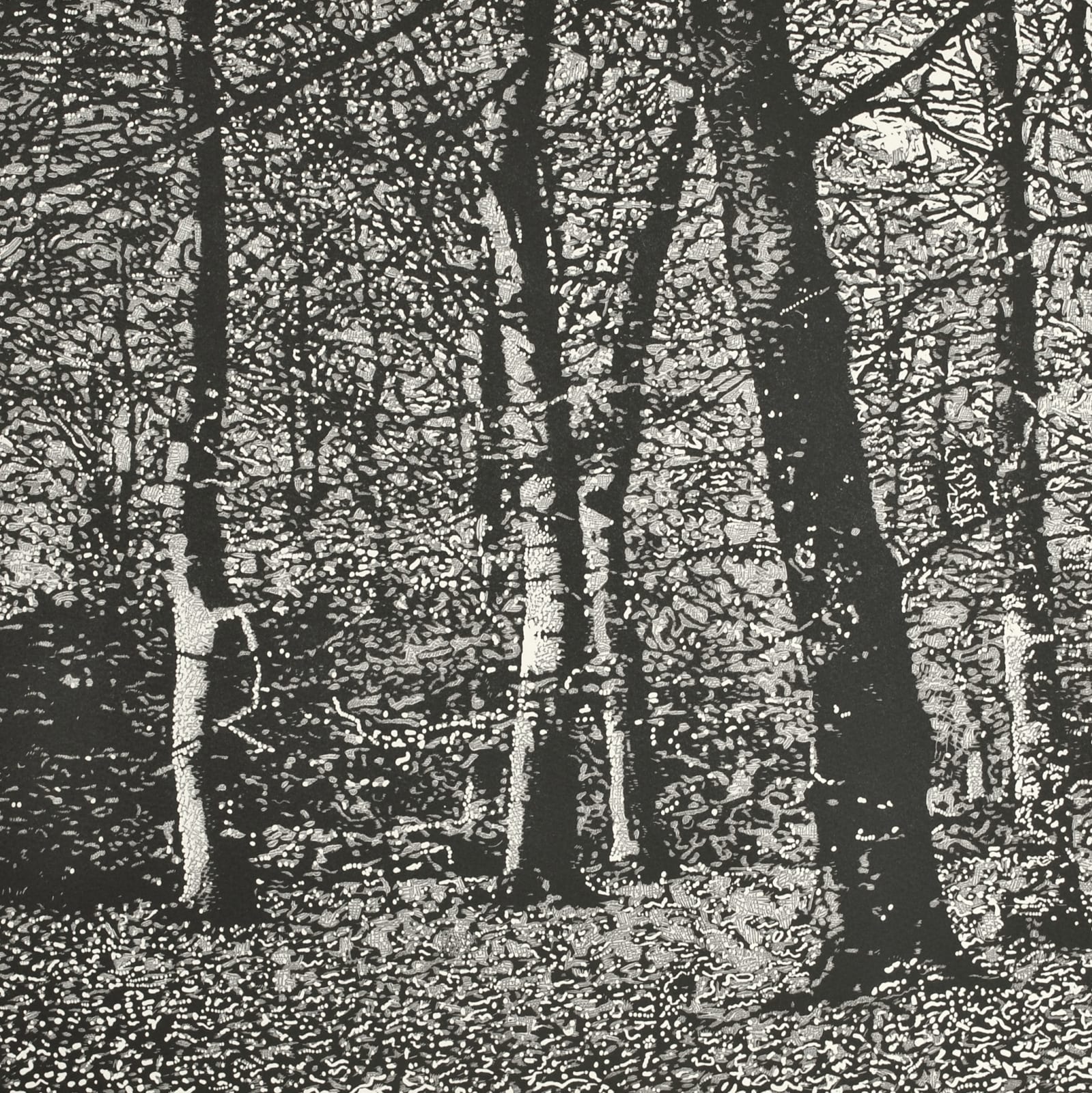 Trevor Price RE, Woodland I