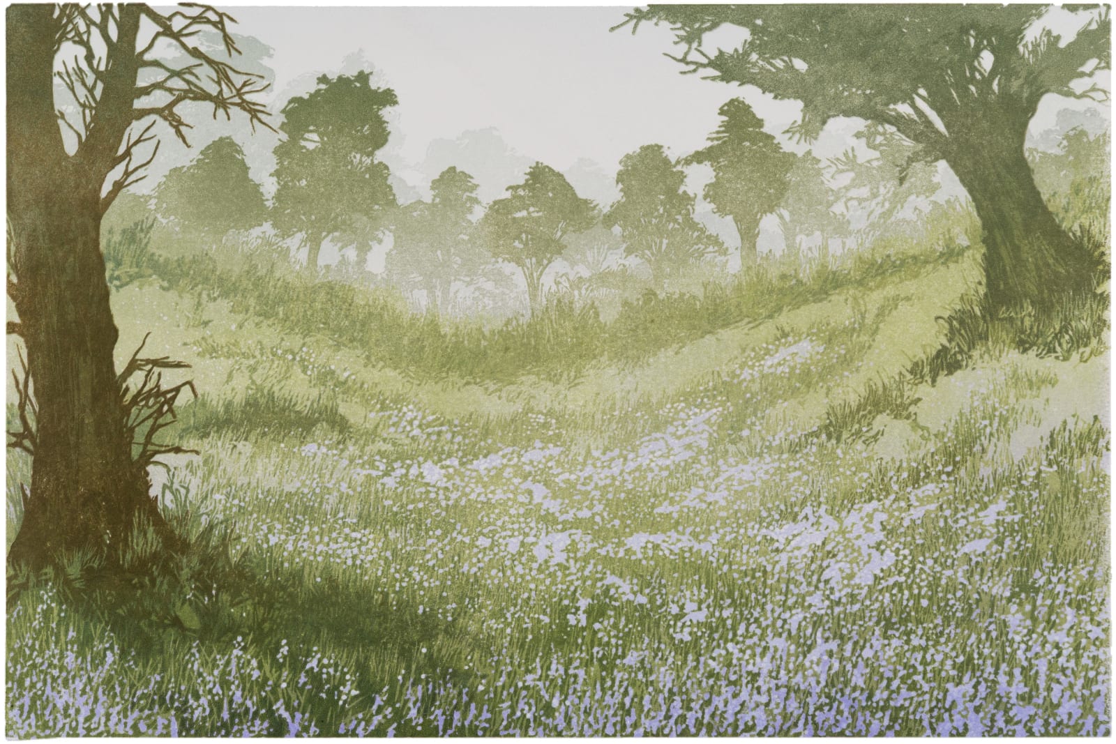 Laura Boswell ARE, Carstramon Bluebells