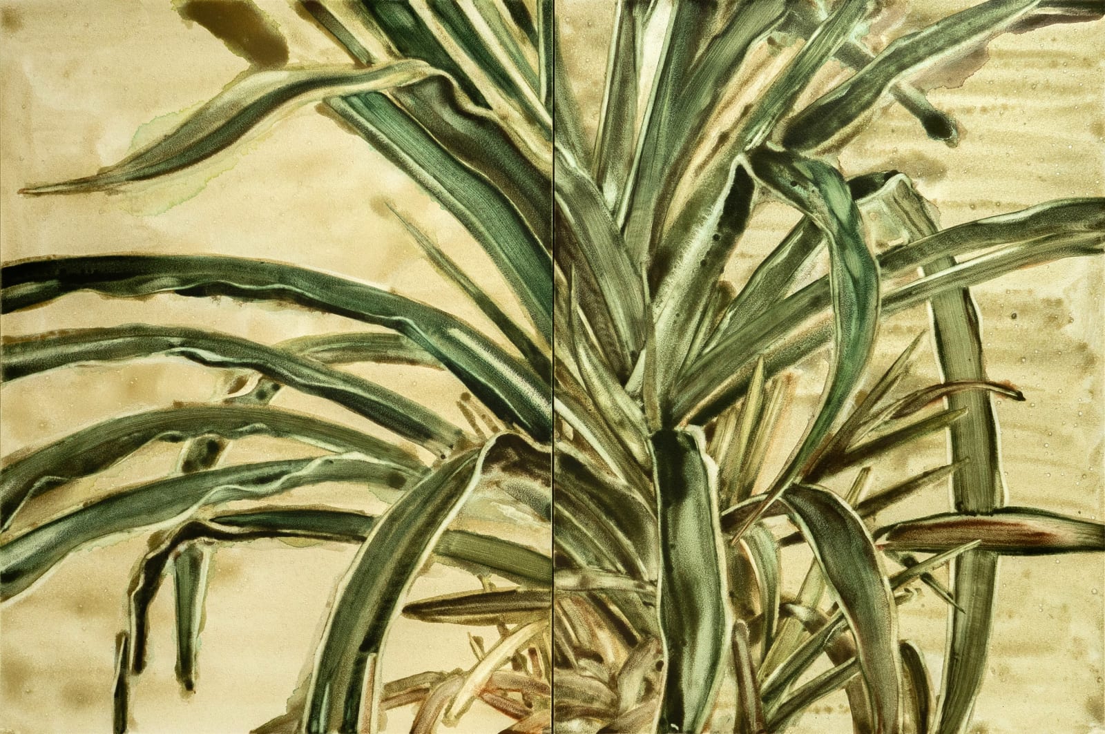 Noah Carter Guest RWS, Interior with Plant, after Lucian Freud