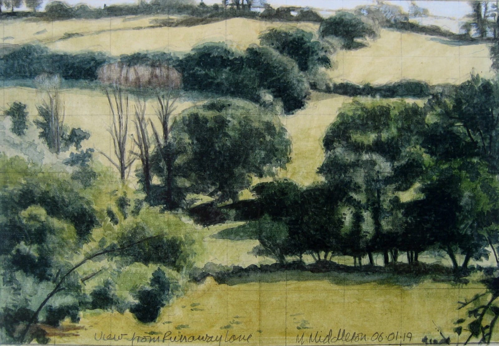 Michael Middleton RWS RE, View from Runaway Lane