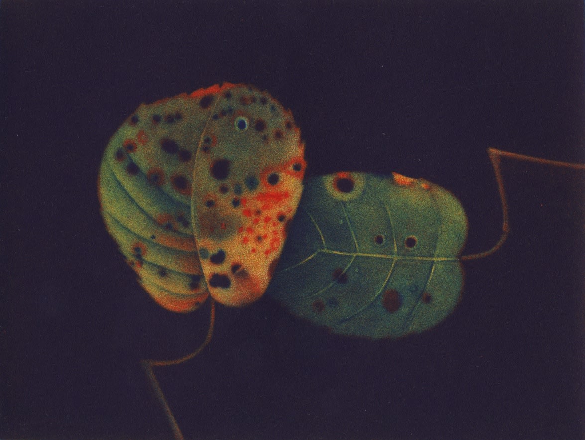 James McCreary ARE, Autumn Leaves II