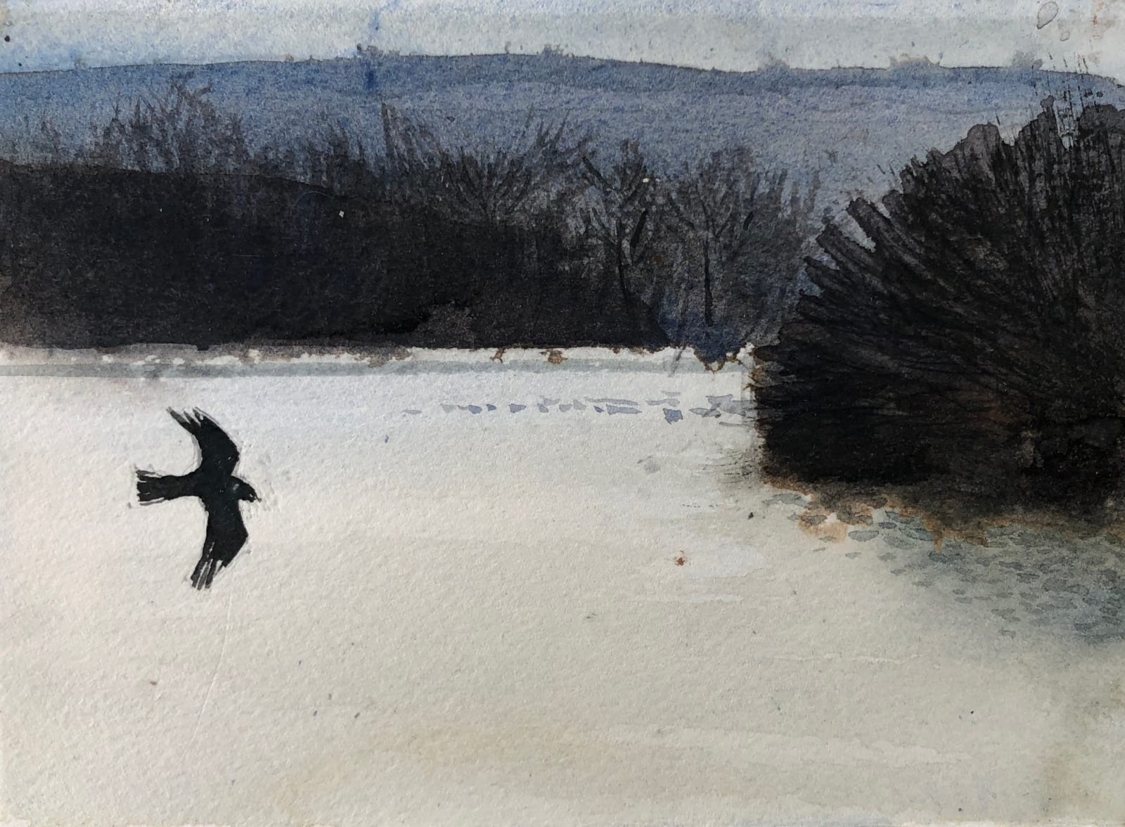 Martin Jacobs RWS, Where the Crow Flies