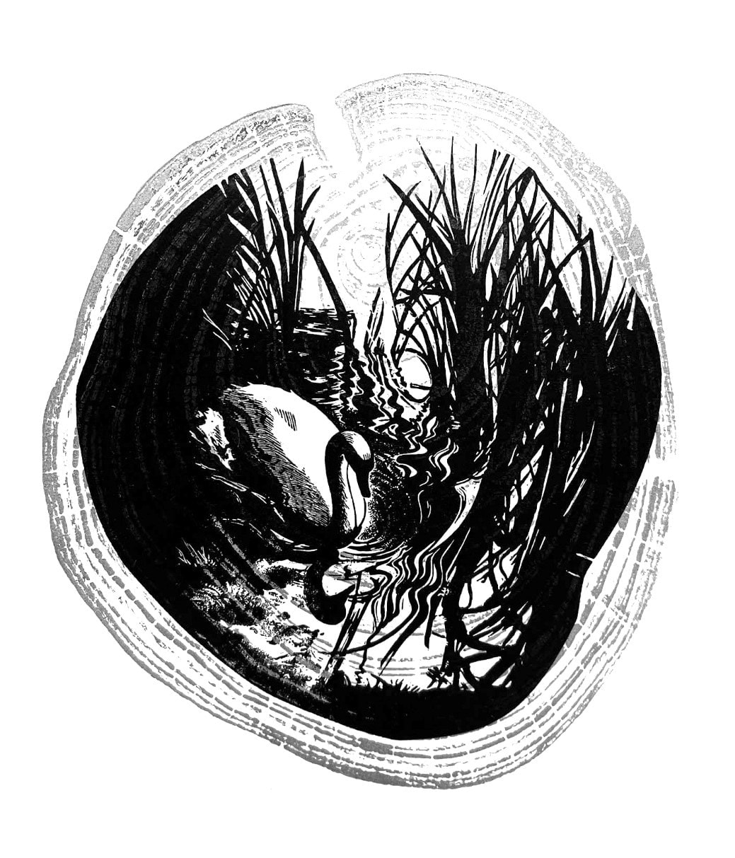 Blaze Cyan RE, The Swan, Surrey