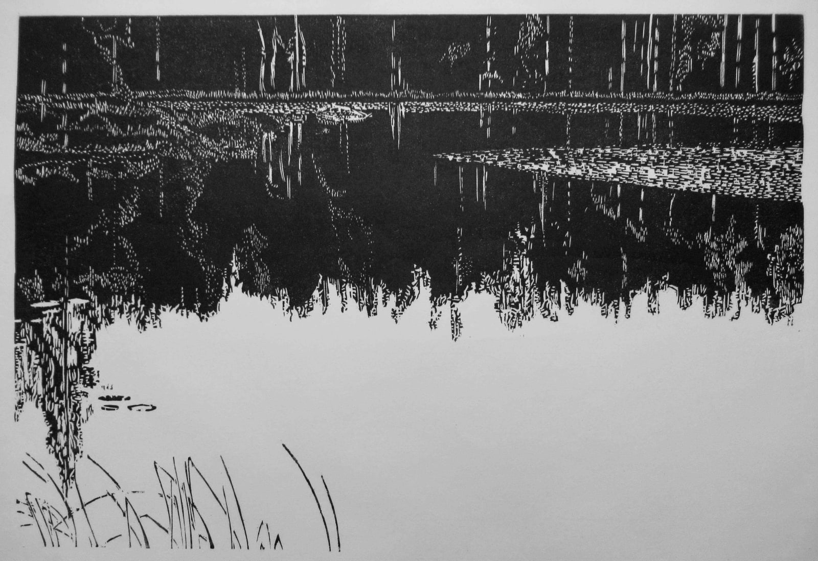 Sasa Marinkov RE, Dark Forest