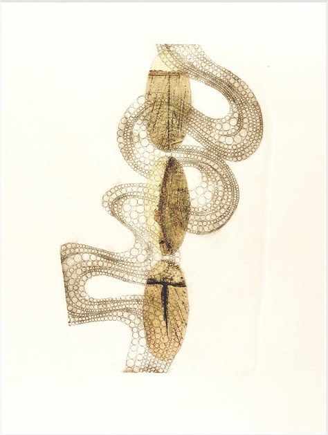 Serena Smith ARE, Heteroglossia 2