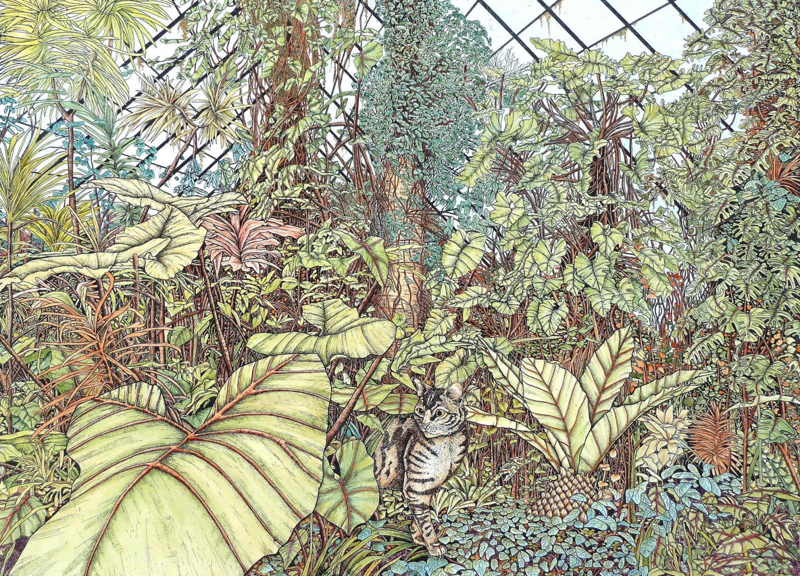 Meg Dutton RE, Conservatory Cat