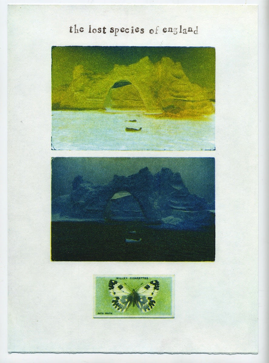 Ian Brown RE, News from the Critical Zone: Bath White 1952