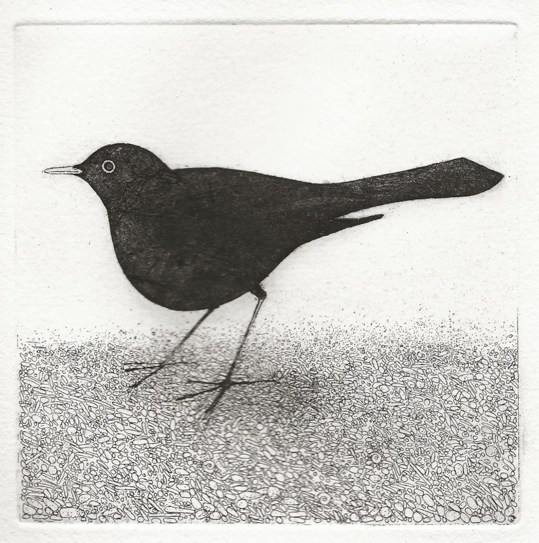 Roger Harris RE, Blackbird